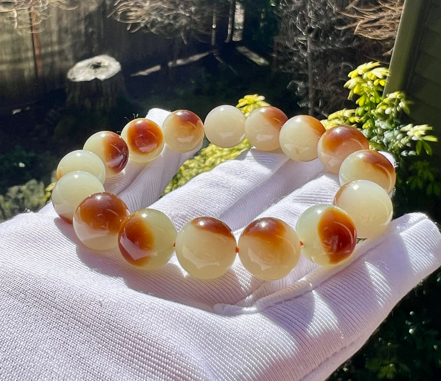 12mm Certified natural jade/Jinshan oily red brown white nephrite bracelet/ sugar cover pattern天然精品 金山糖白玉 红油糖 #7129 盖糖