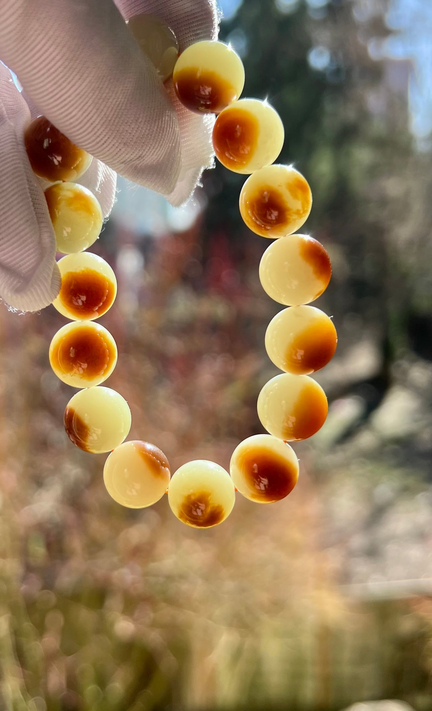 12mm Certified natural jade/Jinshan oily red brown white nephrite bracelet/ sugar cover pattern天然精品 金山糖白玉 红油糖 #7129 盖糖
