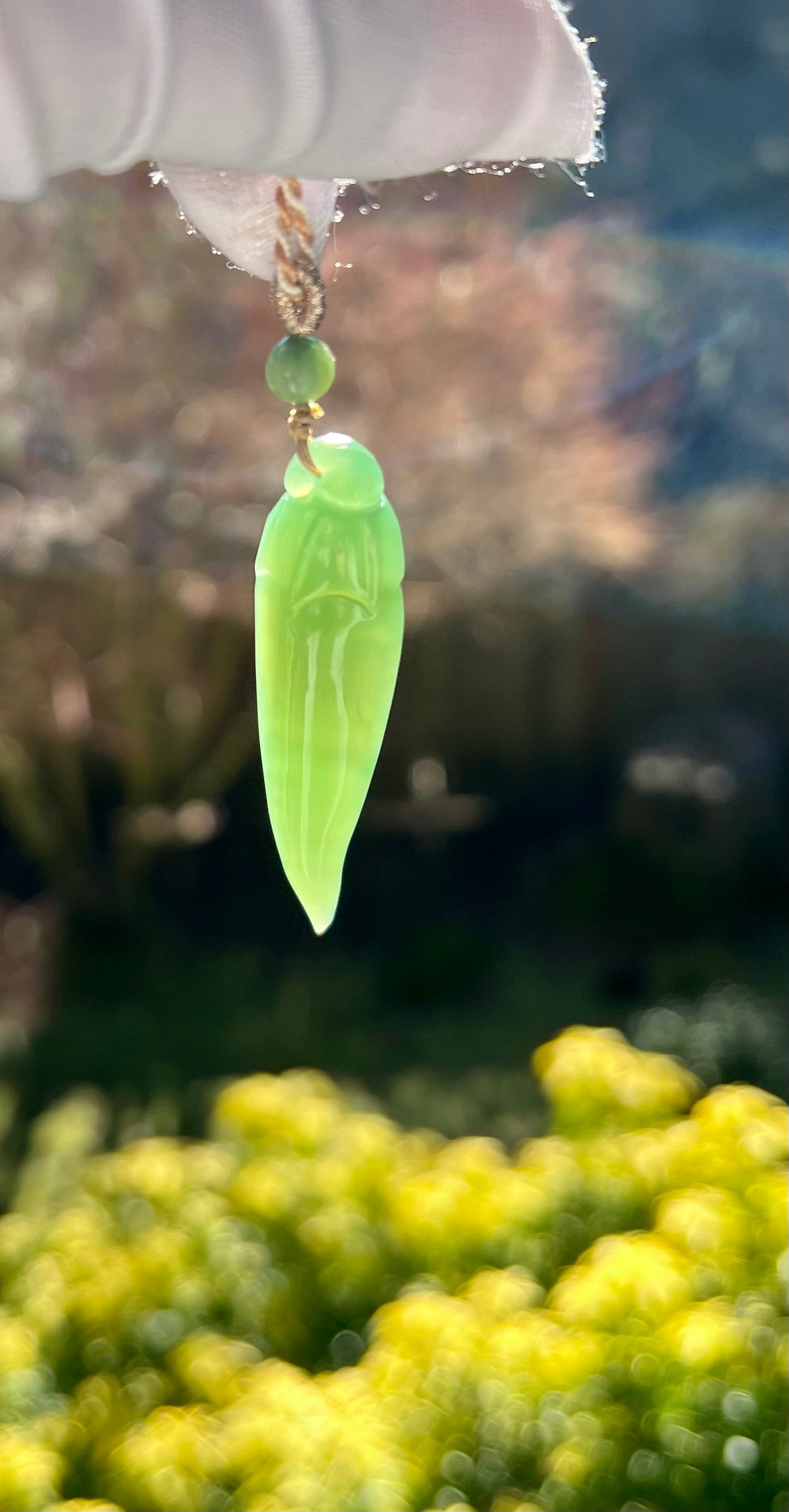 Certified natural nephrite green jade/Siberian bluish green nephrite carved pepper pendant necklace 天然俄料碧玉 粉青辣椒 吊坠 项链#1427 绿调粉青起莹光