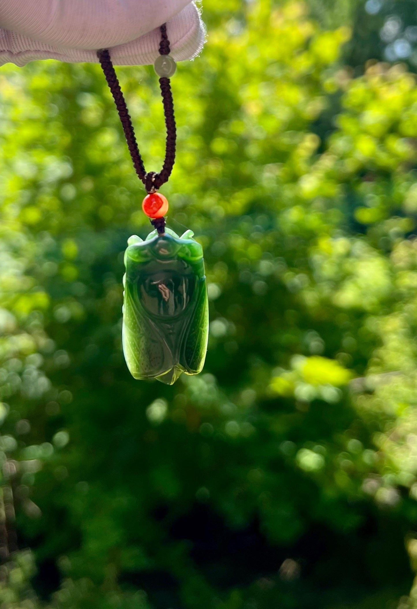 Certified natural nephrite green jade/green nephrite carved Cicada pendant necklace/spinach green天然碧玉 菠菜绿 雕刻金蝉/一鸣惊人 吊坠#5949