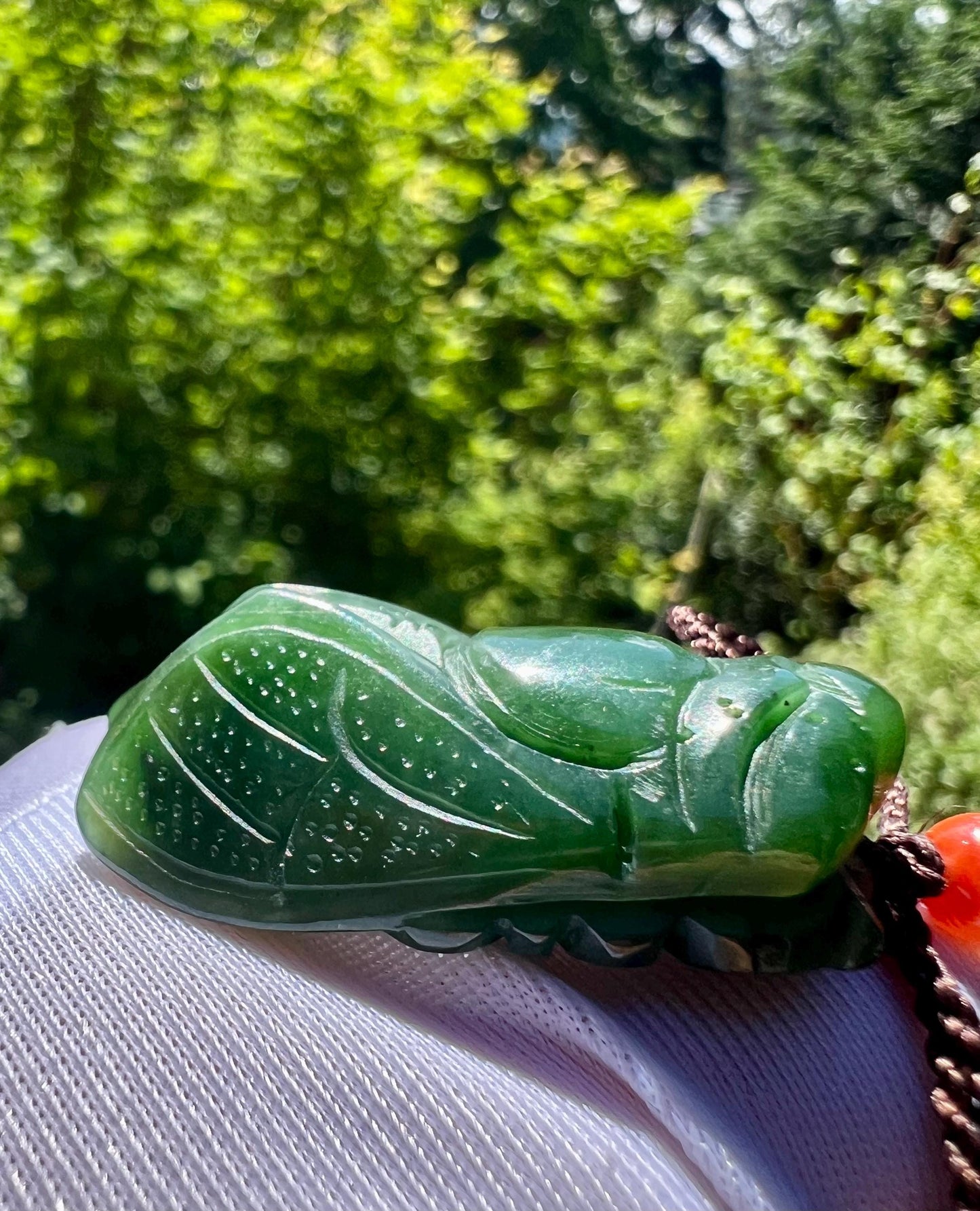 Certified natural nephrite green jade/green nephrite carved Cicada pendant necklace/spinach green天然碧玉 菠菜绿 雕刻金蝉/一鸣惊人 吊坠#5949