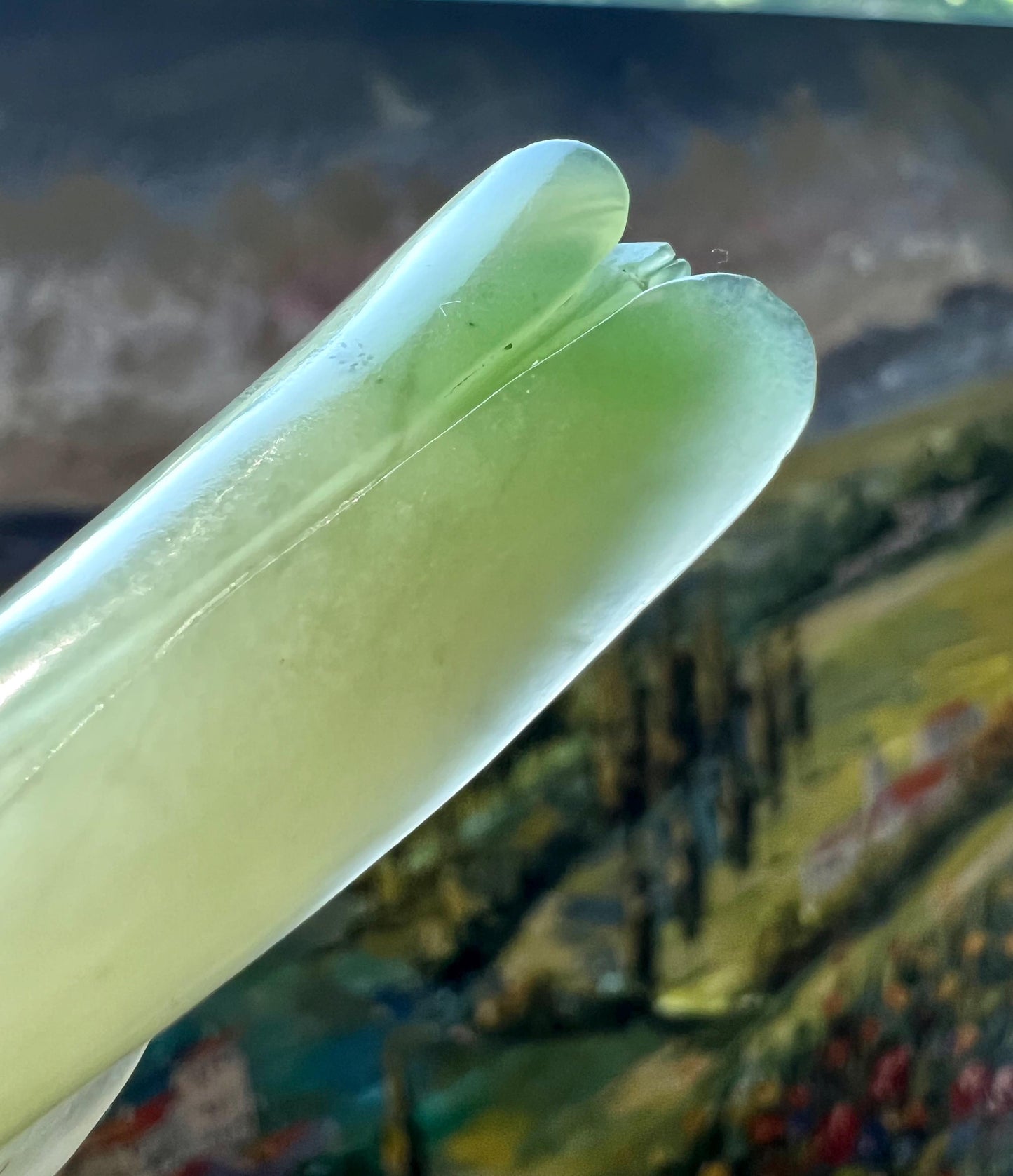 Certified natural jade/ White with emerald green nephrite pendant/hand carved Grasshopper/ necklace天然软玉 翠青 蚂蚱 飞黄腾达 吊坠#0508
