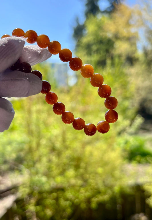 8mm Certified natural jade/ golden red brown nephrite bracelet/天然精品 金山糖玉手串 黄金糖 红油糖#7148 胶油粘稠质感