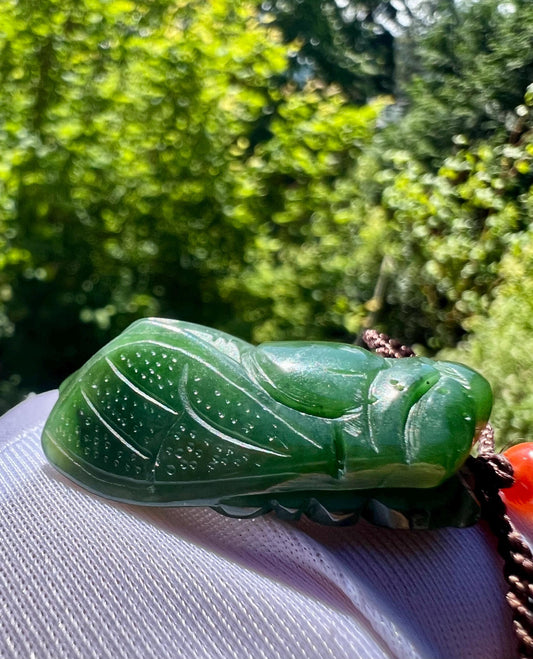 Certified natural nephrite green jade/green nephrite carved Cicada pendant necklace/spinach green天然碧玉 菠菜绿 雕刻金蝉/一鸣惊人 吊坠#5949